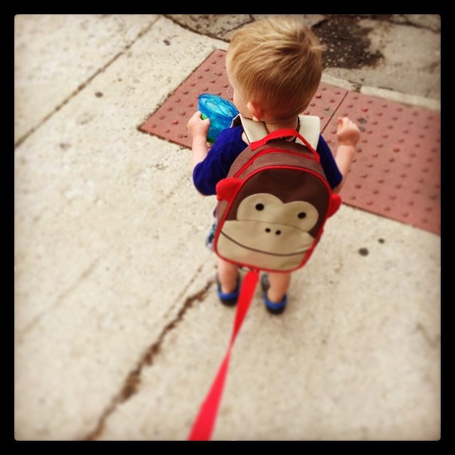 Monkey on a leash…