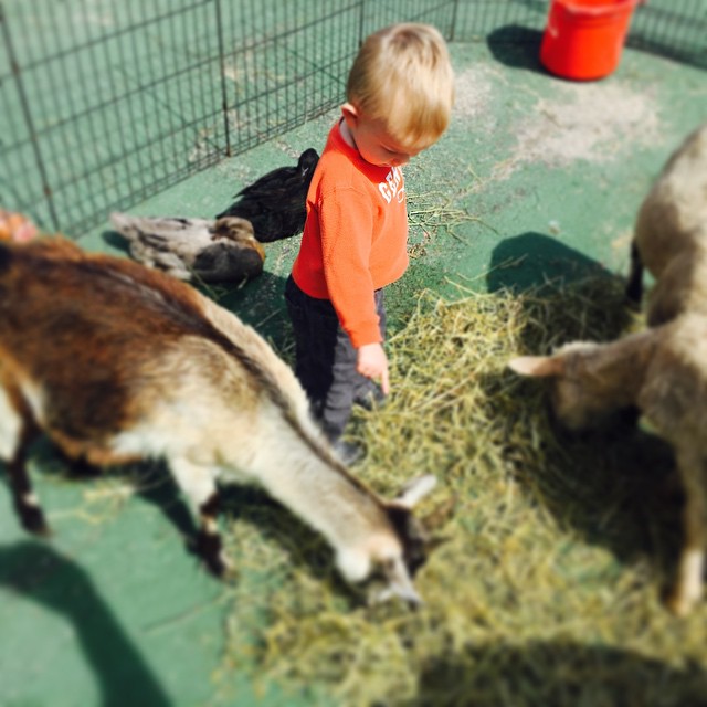 Farmer Dex…