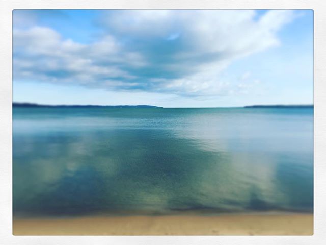 #ImpureMichigan #CoopTinko