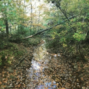 Fall.