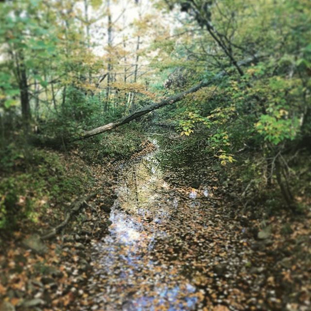 Fall.