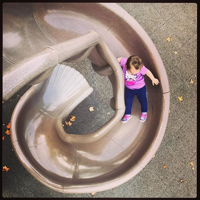 Golden Ratio. Teagan Jude.