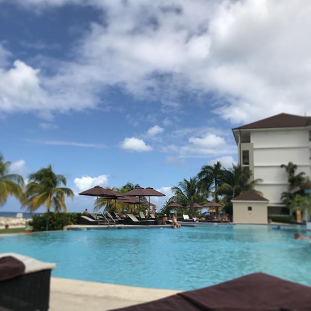 Not a bad place to watch #election2016. ?? #LoveTrumpsHate