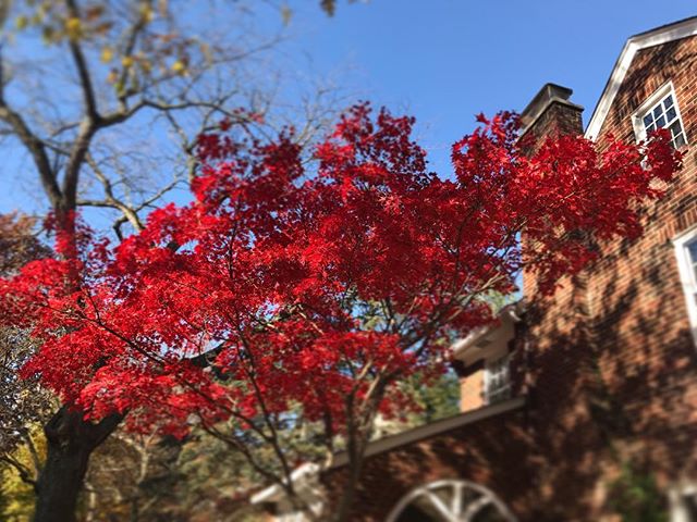 Fall.