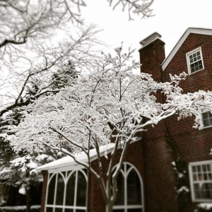Oh, the weather outside is weather…