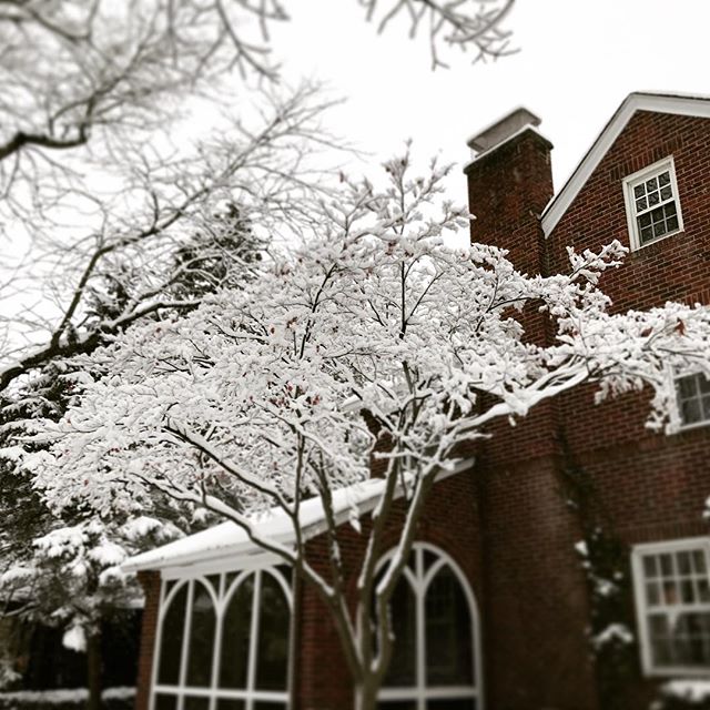 Oh, the weather outside is weather…