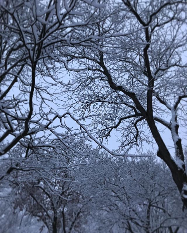 #WinterWonderland