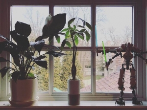 Morning #Zen.