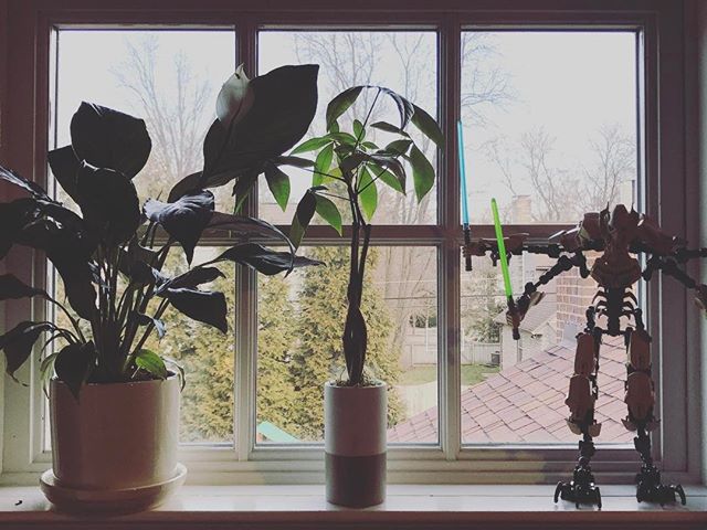 Morning #Zen.