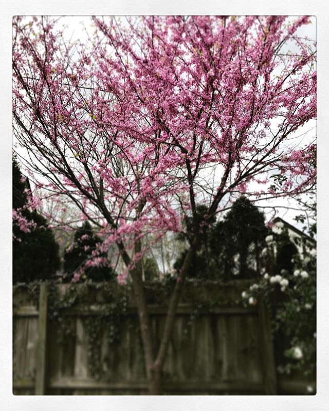 #Spring