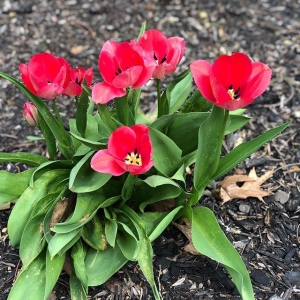 Spring has sprung…
