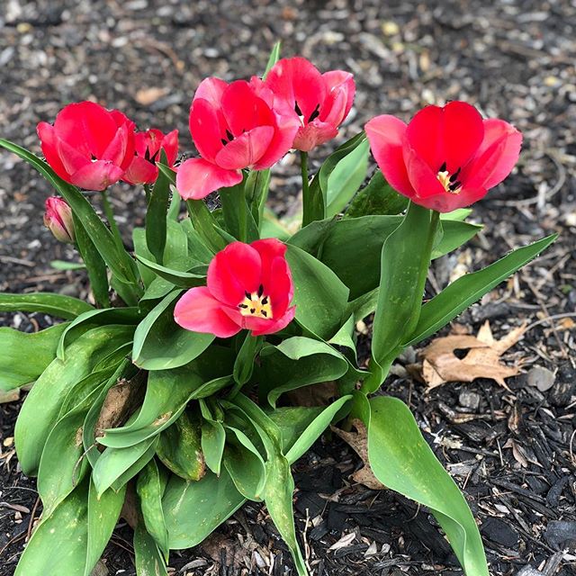 Spring has sprung…