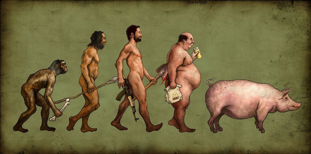 The Evolution of Man The Evolution of Man
