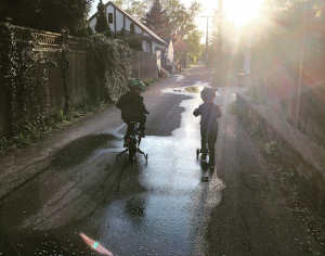 Alley cats…