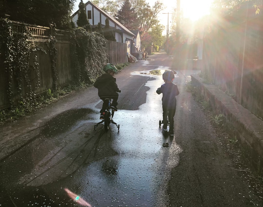 Alley cats…