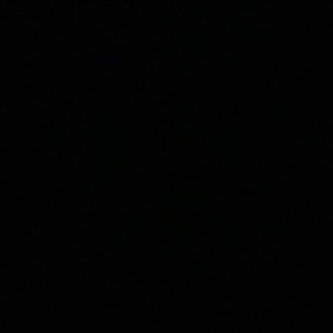 June 2, 2020 (9:50 pm)