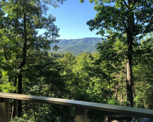 Morning ☕️ views…